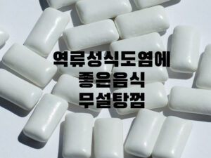 역류성식도염에좋은음식무설탕껌